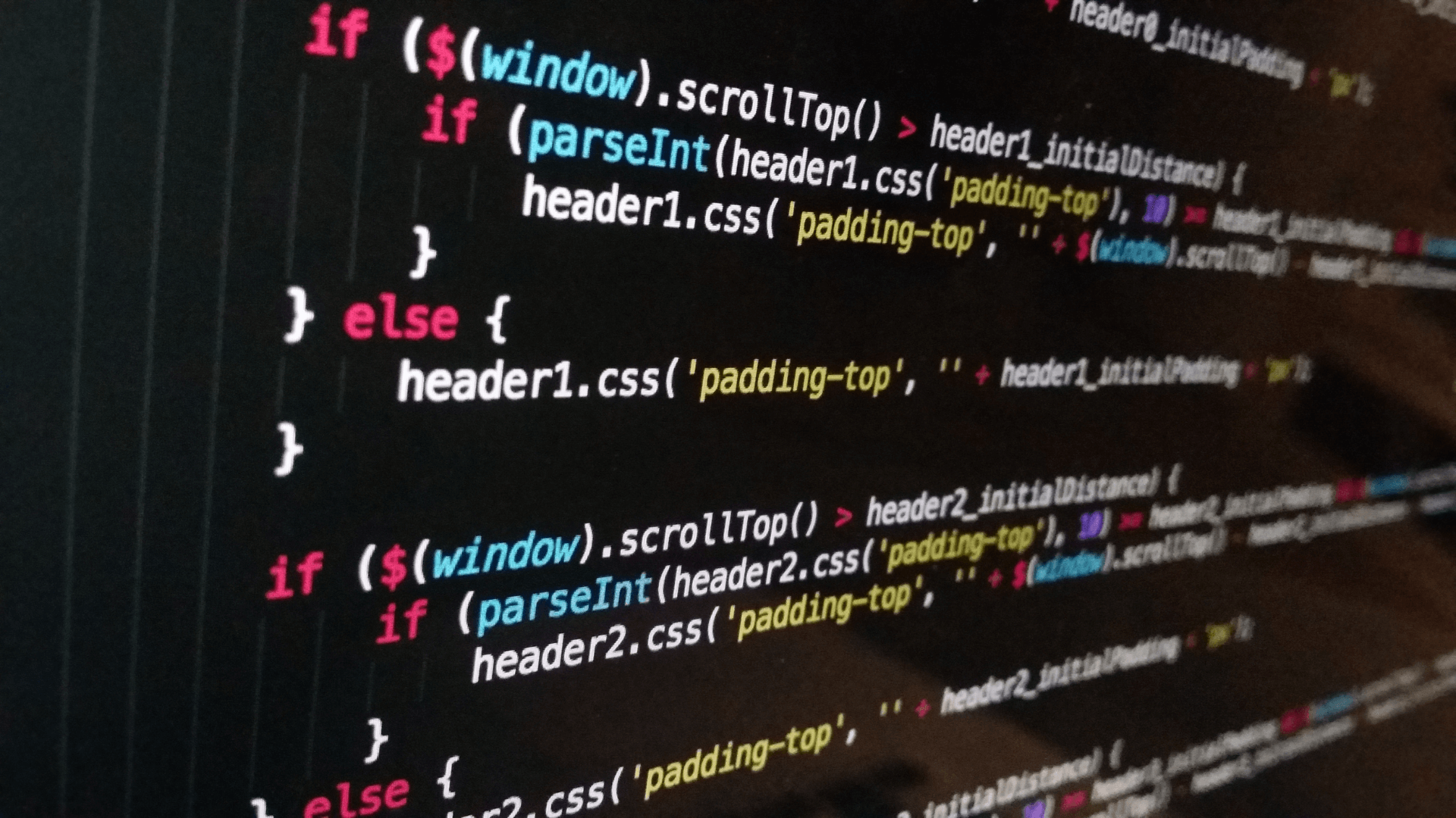 Full Stack Developer - Intern
