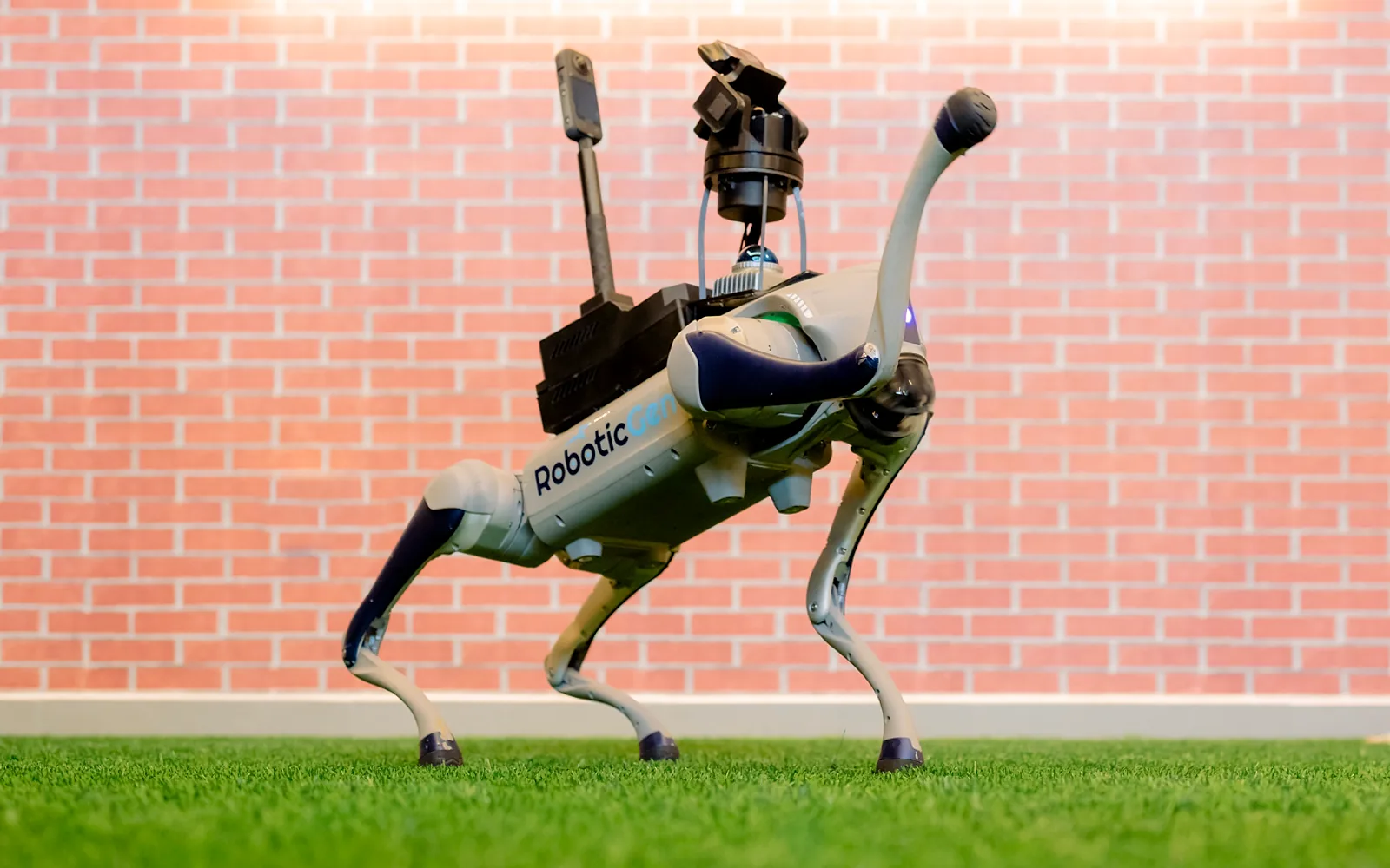 Obo Dog, RoboticGen's quadruped robot in RoboticGen livery, on the grass at the opening of the Dehiwala makerspace.